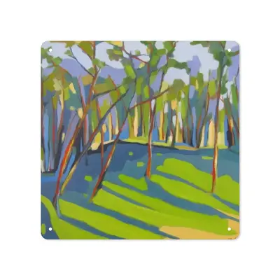 Light And Shadows In Pine Trees Square Iron Painting (Multi-Size)