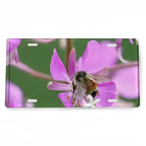 Kahshe Lake Buzzer Bee License Plate