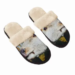 Men A Friendly Wild Red Dead Fuzzy Slippers