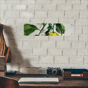 Lemon Branch Long Iron Painting