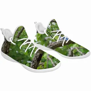 Men Blue Jay In A Tree - Classic Pose Cheerleading Dance Shoes