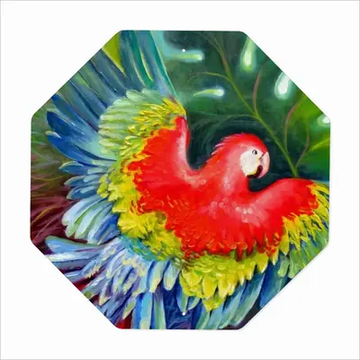 Return To Freedom Arabian Parrot Octagonal Iron Painting