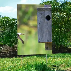 Swallow Takes Flight Courtyard Signboard