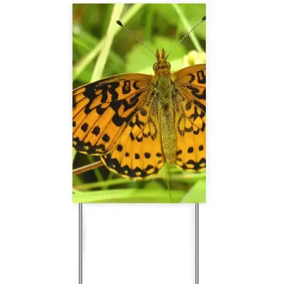 Beautiful New Hampshire Butterfly Courtyard Signboard