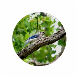 Blue Jay Show Off Mouse Pad (Round)