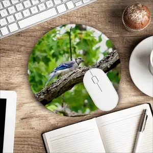 Blue Jay Show Off Mouse Pad (Round)