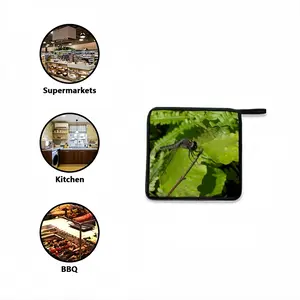 New Hampshire Dragon Fly Kitchen Insulation Pad