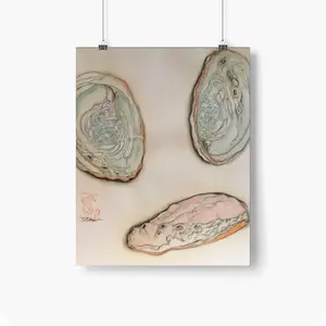 Abalone Self Adhesive Poster (Multi-Size)