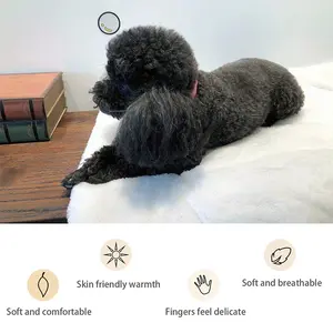 The Future Pet Warm Pad (Multi-Size)