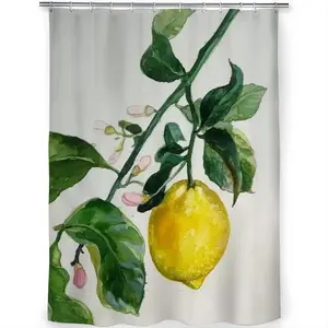 Lemon Branch Shower Curtain (Multi-Size)