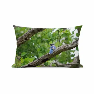 Blue Jay In A Tree - Classic Pose Polyester Pillow (Rectangle, Multi-Size)