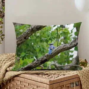 Blue Jay In A Tree - Classic Pose Polyester Pillow (Rectangle, Multi-Size)