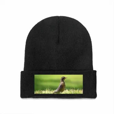 Bird In High Park Grass Knitted Hat