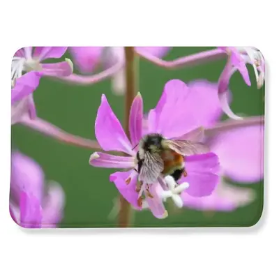 Kahshe Lake Buzzer Bee Flannel Mats Carpet (1.48mx2.03m)