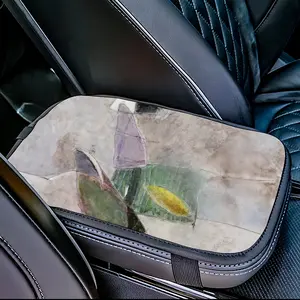 In The Desert Car Center Armrest Cover