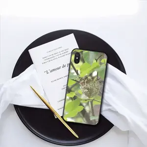 Baby Bird In A Nest iPhone X Phone Case (Tempered Film)