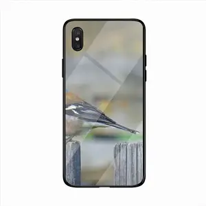 Bird iPhone X Phone Case (Tempered Film)