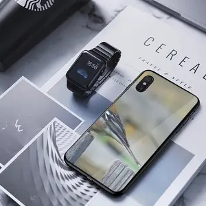 Bird iPhone X Phone Case (Tempered Film)